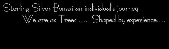 We are As Trees ... All are Shaped by Experience .. some Gold and Silver